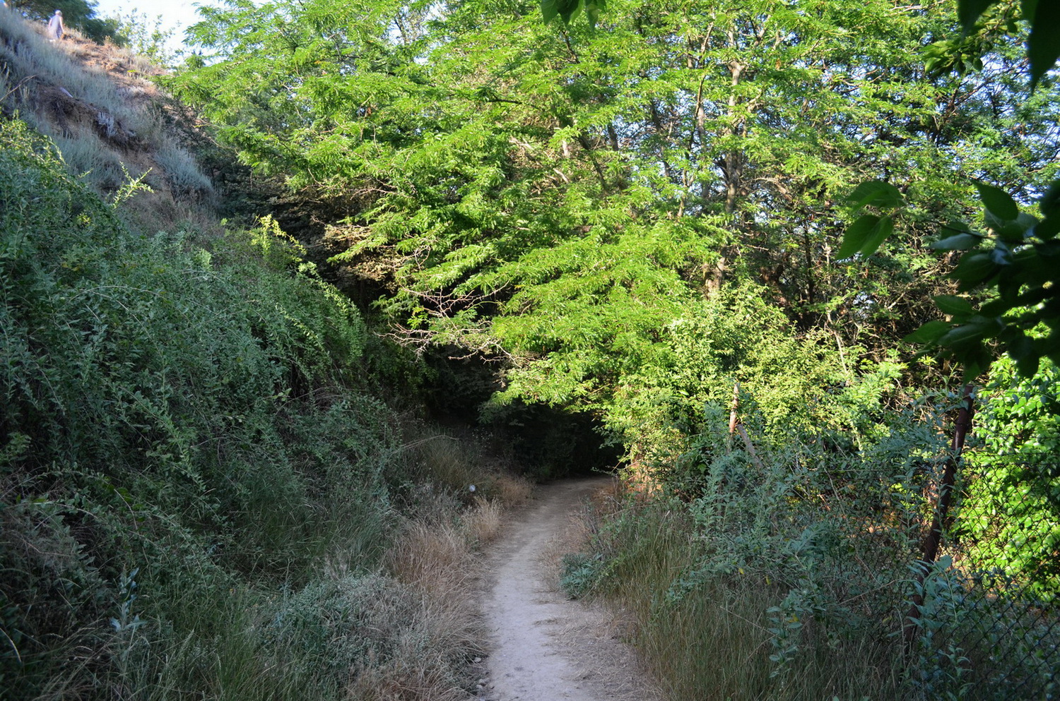 kerch arshinsevo beach 06 07 2020 12