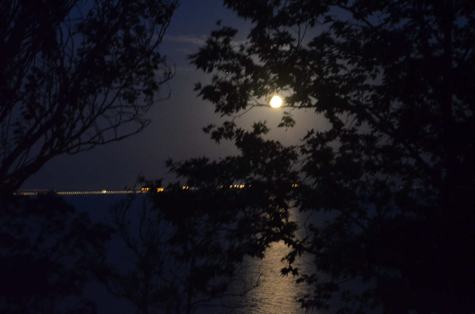 kerch arshinsevo beach 06 07 2020 24