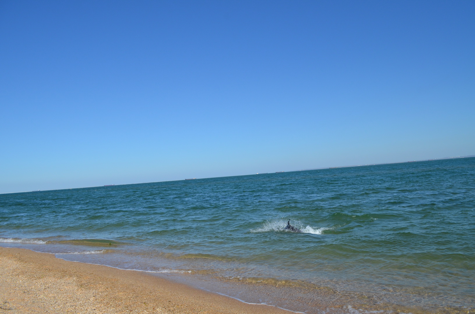 kerch 10 09 2020 0059