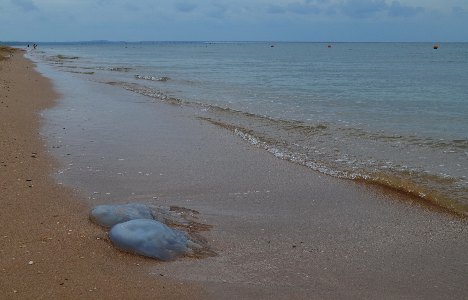 kerch beach 14 08 2021 0022