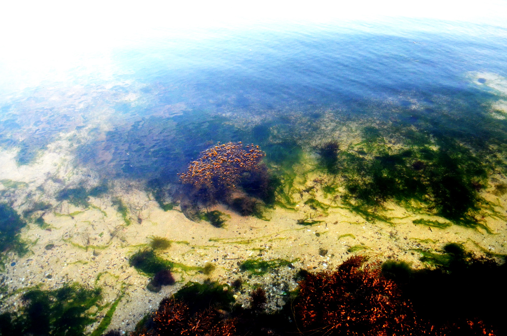 kerch sea foto 6